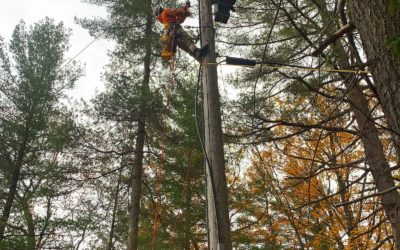 Lake Muskoka Island Work In Gravenhurst